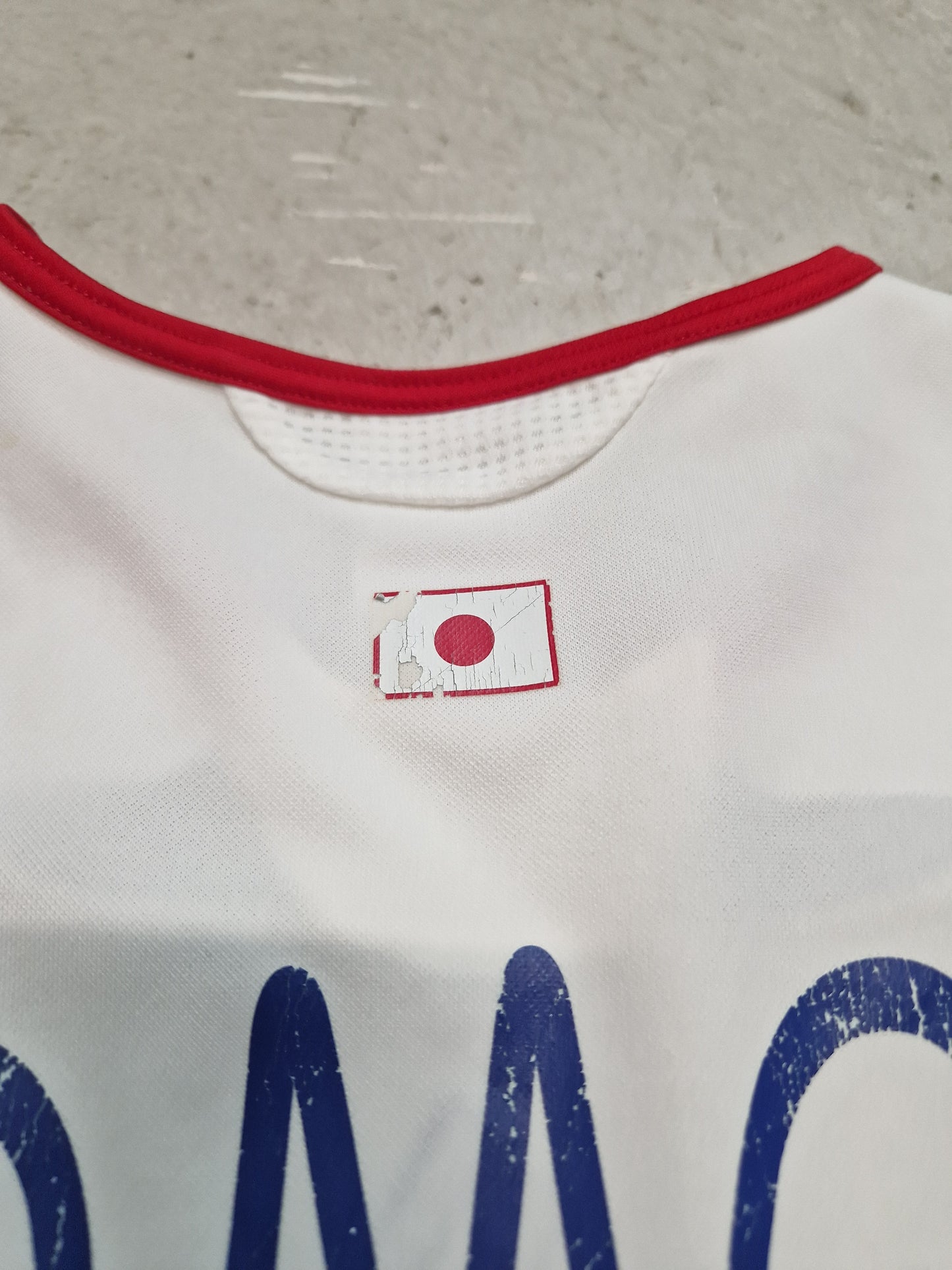 Japan Auswärts 2006 (L) Inamoto #17