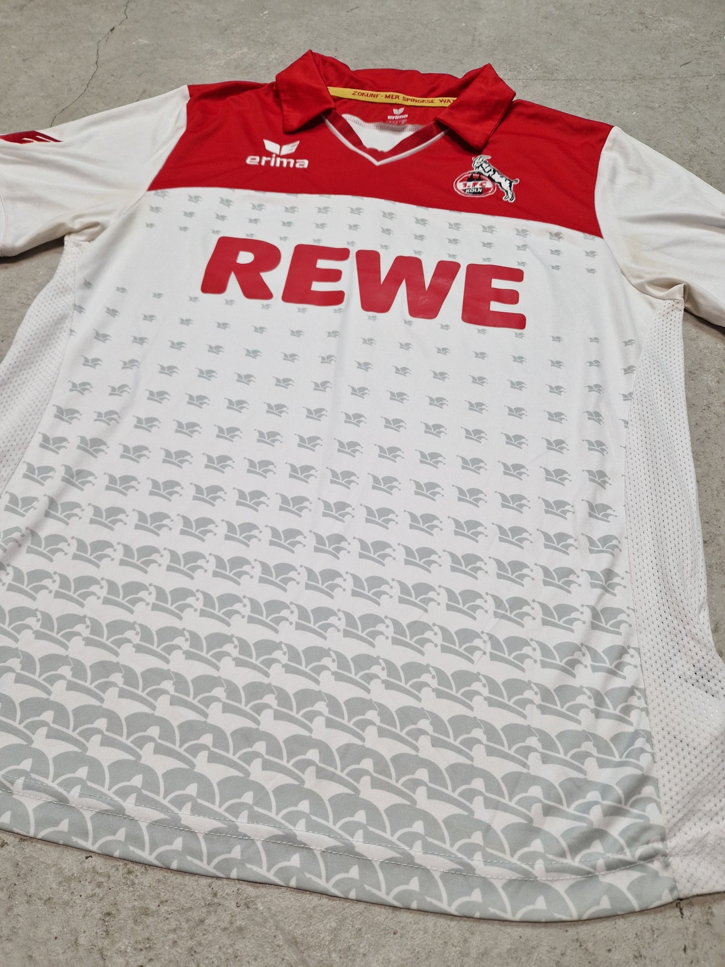 1. FC Köln Karneval 2013/14 (M)