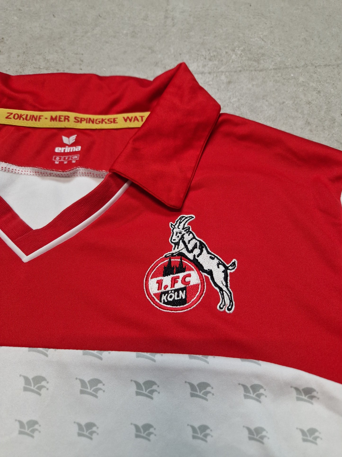 1. FC Köln Karneval 2013/14 (M)