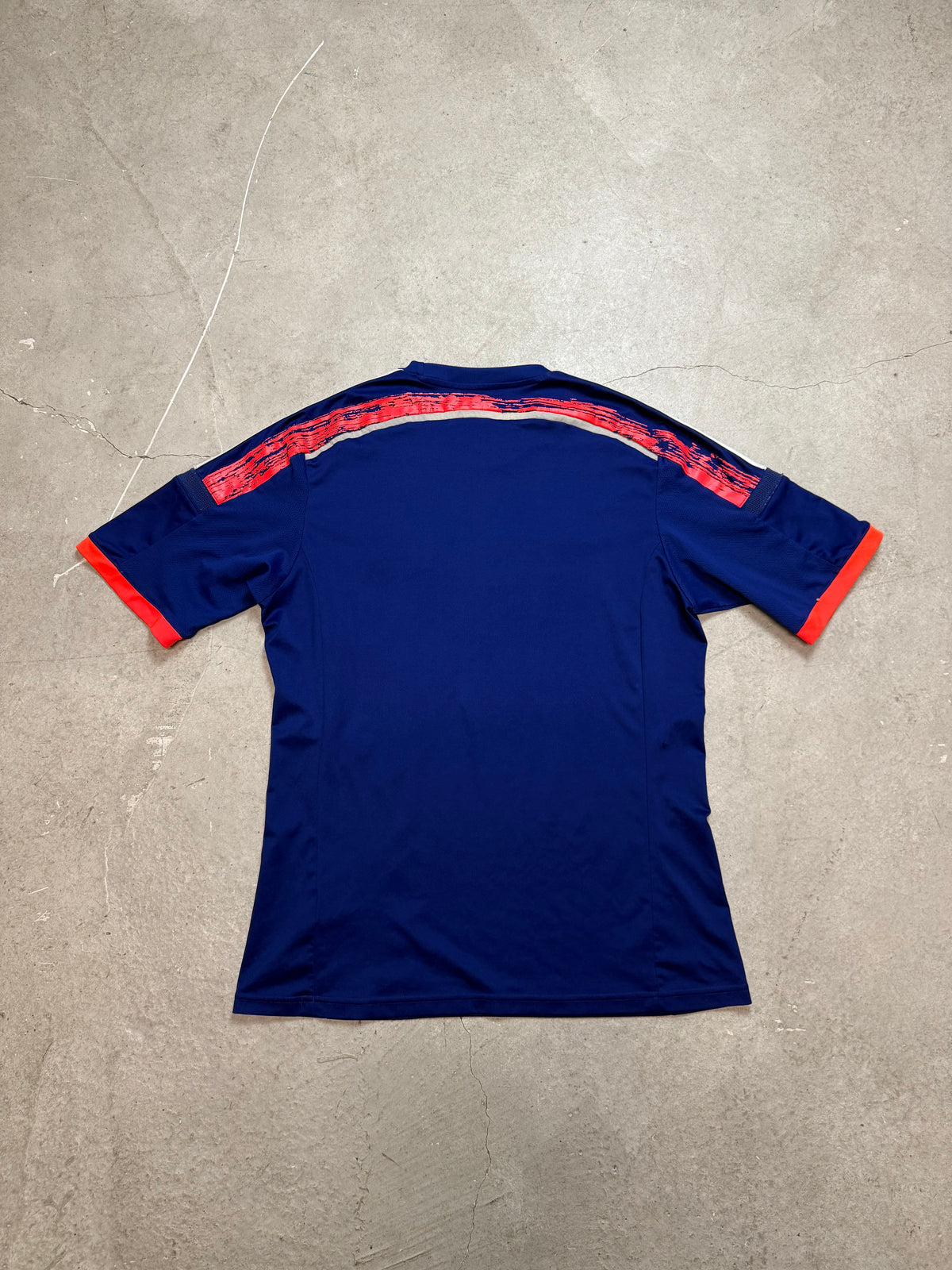 Japan Heim 2014 (M)