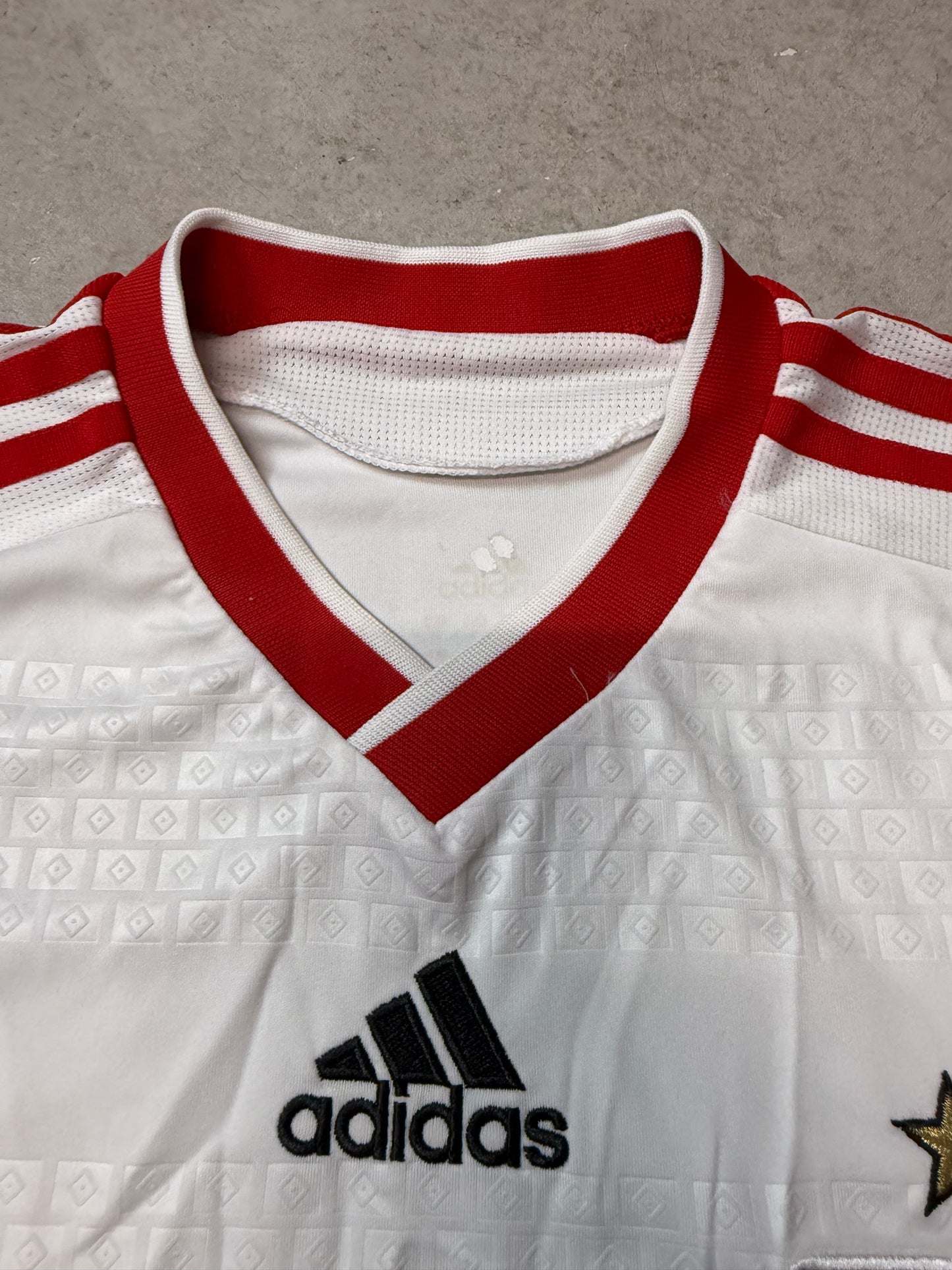 Hamburger SV Heim 2009/10 (L)